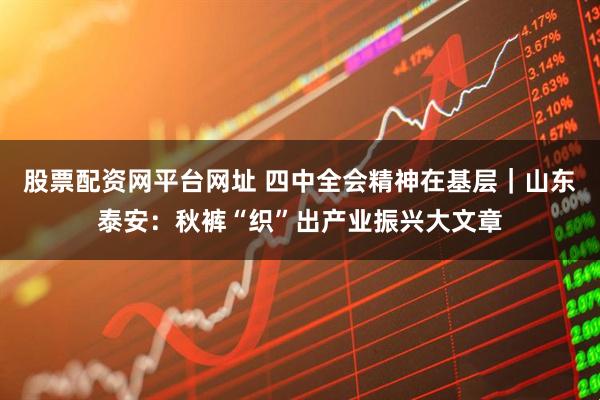 股票配资网平台网址 四中全会精神在基层｜山东泰安：秋裤“织”出产业振兴大文章